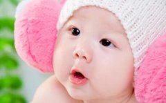 哪一月出生的鼠宝宝安居乐业生活幸福？