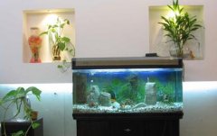 家中养鱼如何选择最佳的鱼缸摆放风水方位？