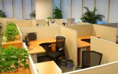 不同坐向办公室里办公桌如何摆放才能提升工作运？