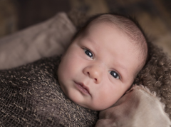 2015年出生的宝宝有着怎样的命运？四月份出生的女羊