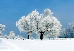 立冬是进入冬天了吗？2023年立冬是几月几日星期几？