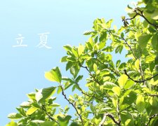 2023年立夏节气当天的黄历日子属于黄道吉日吗？