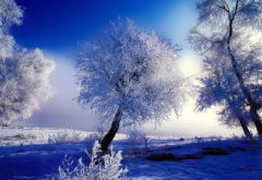 2023年冬至可以说冬至快乐吗,冬至祝福语推荐解析！