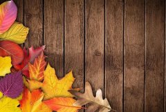 立秋先还是秋分先到,如何区分立秋和秋分两个节气？
