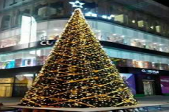 12月25日圣诞节由来—圣诞树的来历故