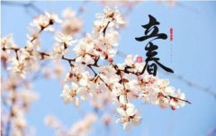 立春节气—正月节简介，立春日代表什么意思？