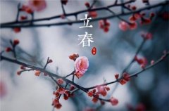 立春与春节有什么关系,2023年立春在几九第几天？