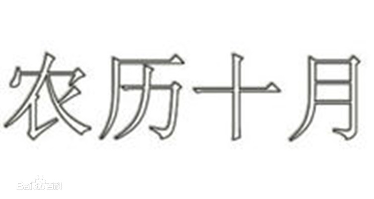 2020年农历十月