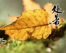 处暑上个节气是立秋吗,2023年处暑搬家吉不吉利？