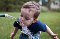 水命都有哪几种类型？水命代表人物