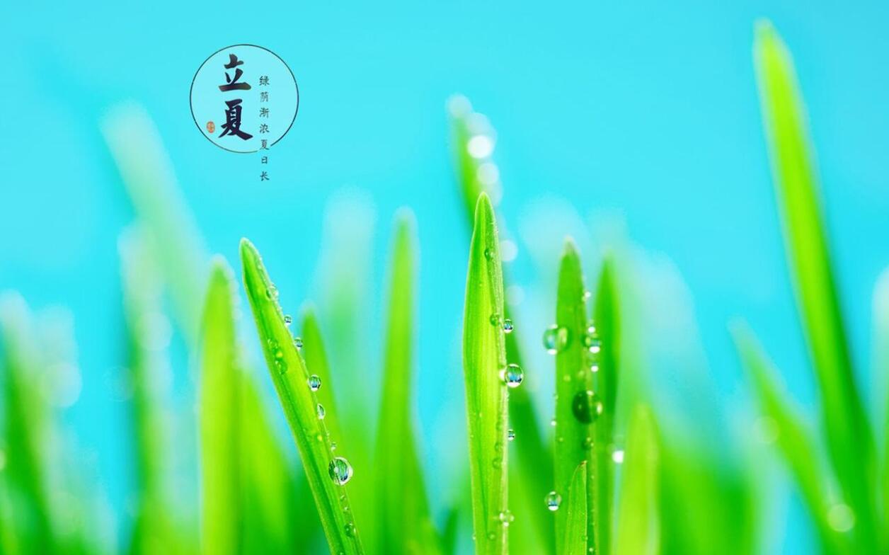 2021年立夏会下雨吗?