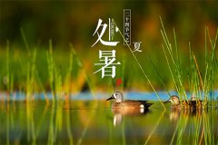 2023年中元节后面是什么节气和节日？