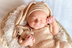 生肖牛宝宝在农历十一月出生的命运