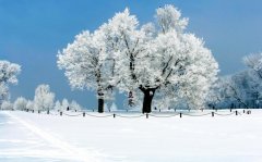 今年立冬是几号？立冬有什么习俗？
