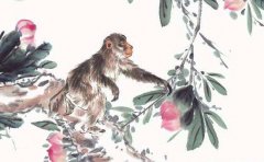 属猴人2022年农历十一月的开张开业吉日一览