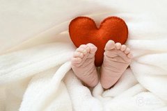 2023兔年农历二月初八出生的女宝宝命
