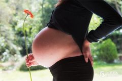 正月怀孕宝宝会在几月出生？怀孕初