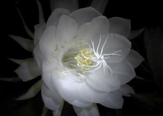 19年3月10号出生的女孩起什么名字比较好 宜用什么字 水墨先生