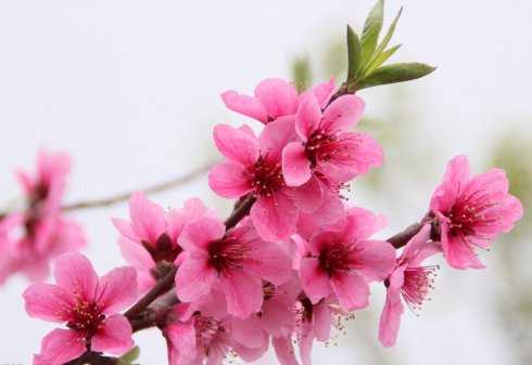 19年7月22号出生的女宝宝五行缺木要如何起名字 水墨先生