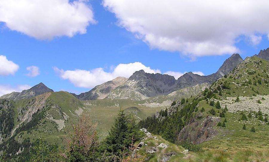 兰 吴琅音 吴蓓嫦 吴迎满 吴悠笑 吴先美 吴建茜    吴美娅 吴裕珍 吴