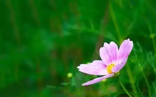 尔思 晖权 广林 熊宇 腾葵 小东 于昂 相鑫 梧桐景湘 琪尧 庚晔 卓洲