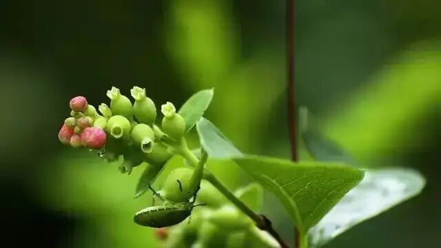 小雪中午出生的男宝宝起什么名字好，宜用名推荐