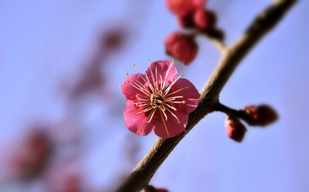 教师节出生的女宝宝起名宜用字栏,勤,颖,芝,江,竹,珍,镕,清,茉,铭,晶