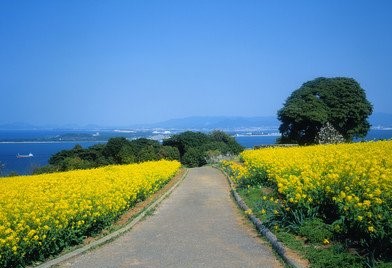 2019年农历二月十二出生的男孩五行缺土起名字怎么起，该讲究什么