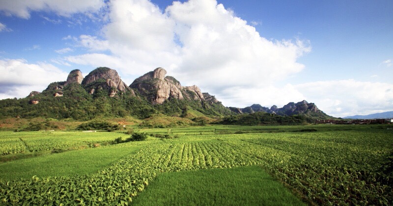 公历19年3月22号巳时出生的女宝宝怎么起名字 宜用什么字 水墨先生
