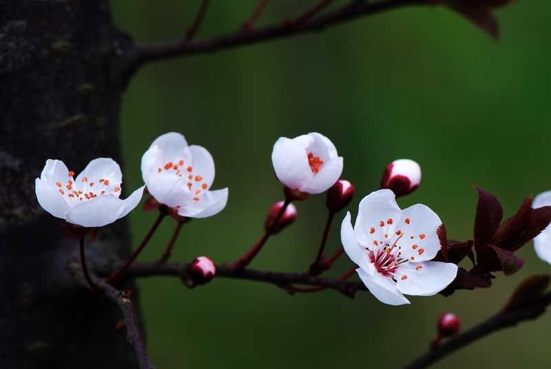 2019年下元节出生的女宝宝性格好吗，起什么名字好听