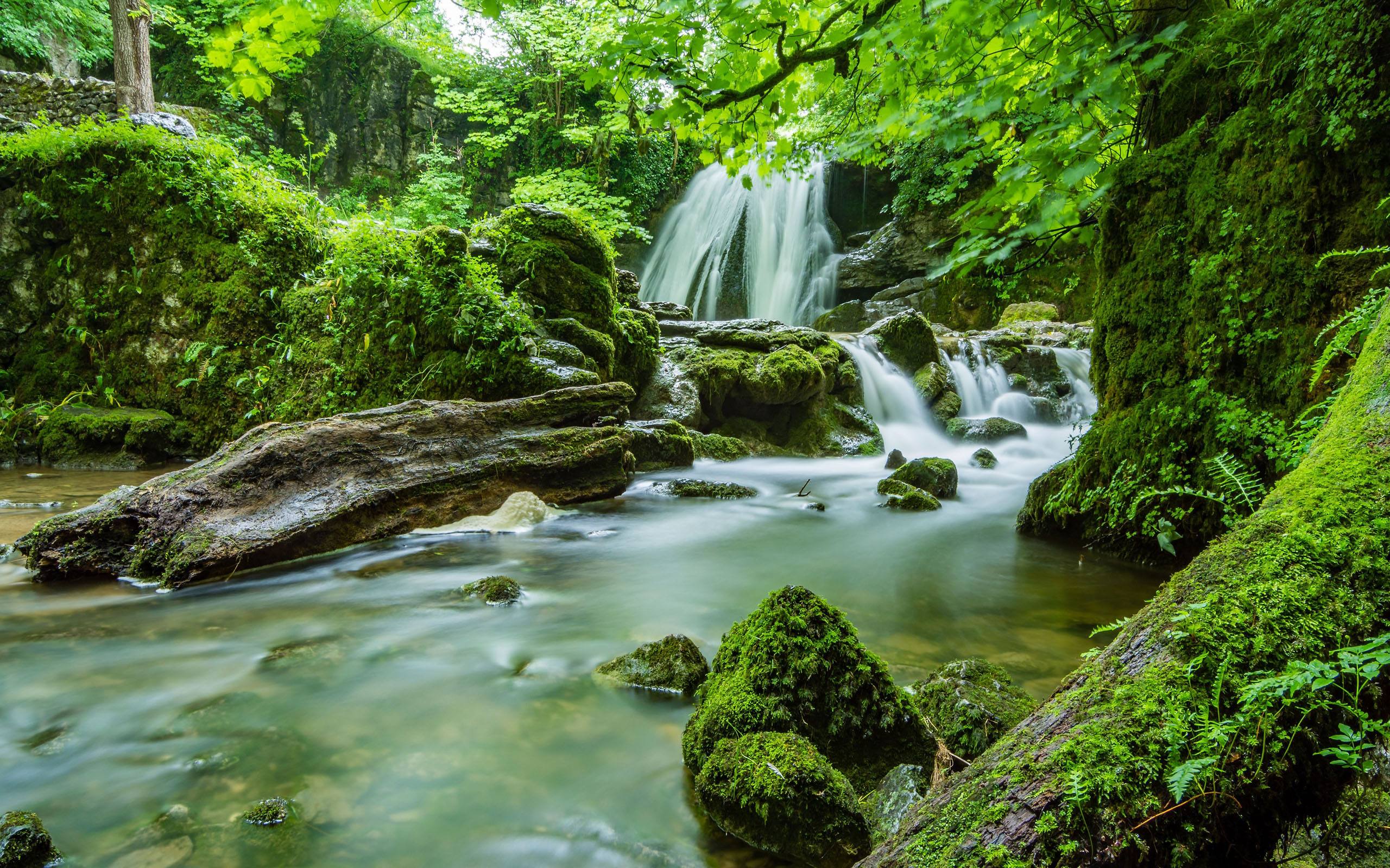 属鸡旺财山水风景图片图片