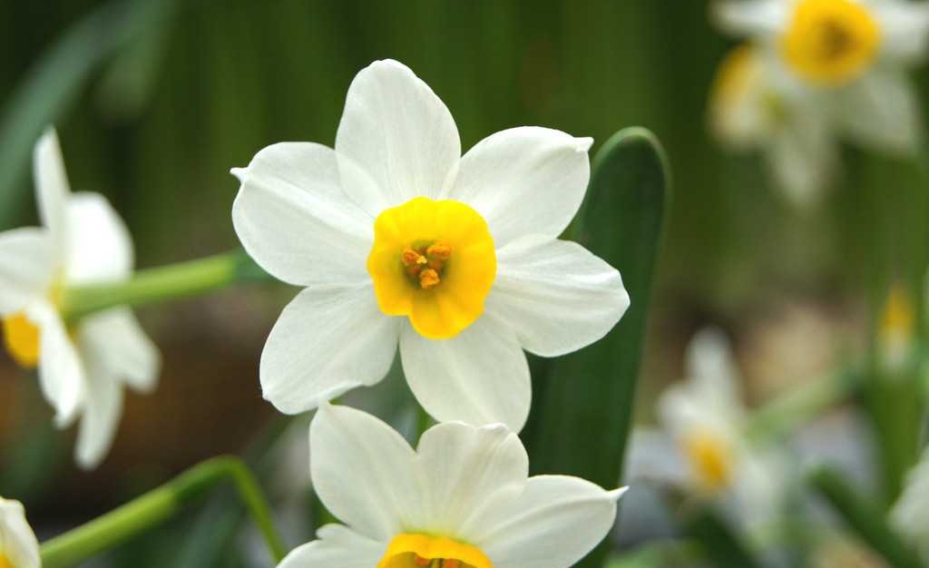 姓龙男孩名字推荐,姓龙男孩洋气高贵的名字