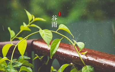 2019年谷雨节气出生宝宝起名高分名字大全