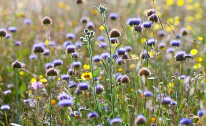 19年五四青年节5月4日是剪头发理发的好日子吗 水墨先生