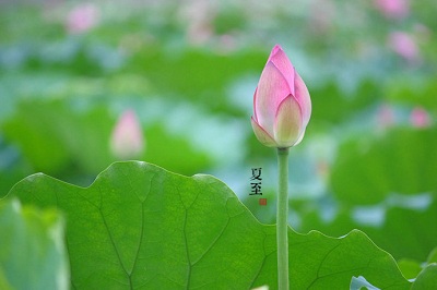 19夏至是几点几分 19年夏至日出时间是几点 水墨先生