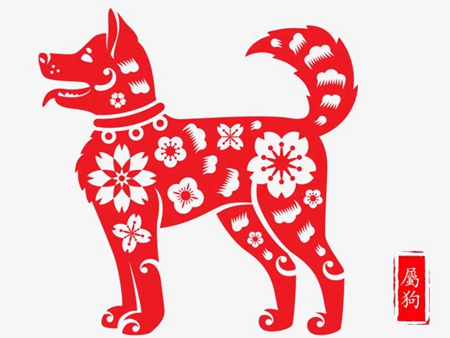 在2019年年底前生肖狗的财运会变好吗