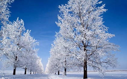 是破土修坟吉日吗,小雪三候是什么意思?