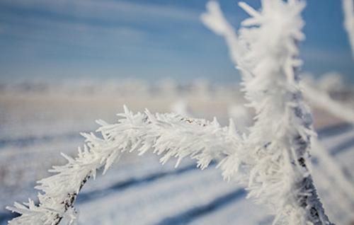 19年大雪12月7日什么生肖的人不宜结婚 相冲吗 水墨先生