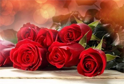 年2月14日情人节送女朋友玫瑰花好吗 玫瑰花送几朵适合 水墨先生