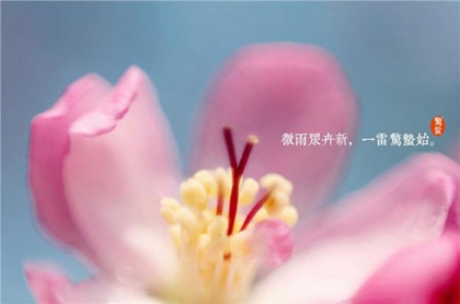 年3月5日惊蛰出行好不好 惊蛰是什么季节的节气 水墨先生