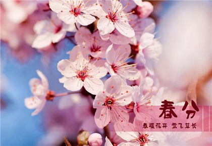 年3月日春分当天日子好不好 春分竖蛋有何技巧 水墨先生 年3月日春分当天日子好不好 春分竖蛋有何技巧 水墨先生