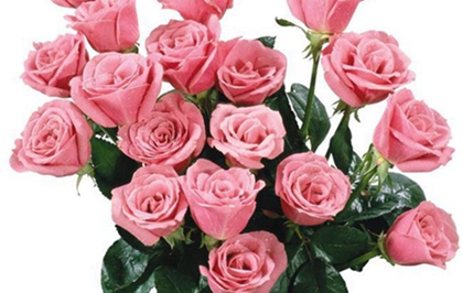 母亲节要送什么花最好最合适 2020年母亲节日子好吗 水墨先生