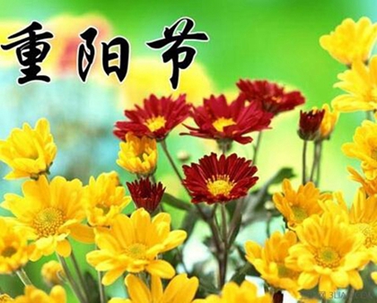 2020年重阳节九月初九安床好吗,为什么重阳饮菊花酒?