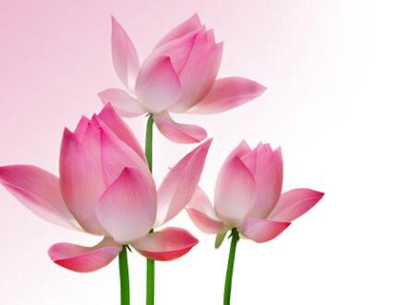 年十一月十六日子是吉日吗 12月30日冲什么生肖 水墨先生