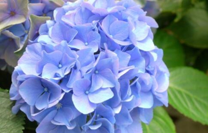 年农历十月廿八出生的鼠宝宝属于什么星座 水墨先生