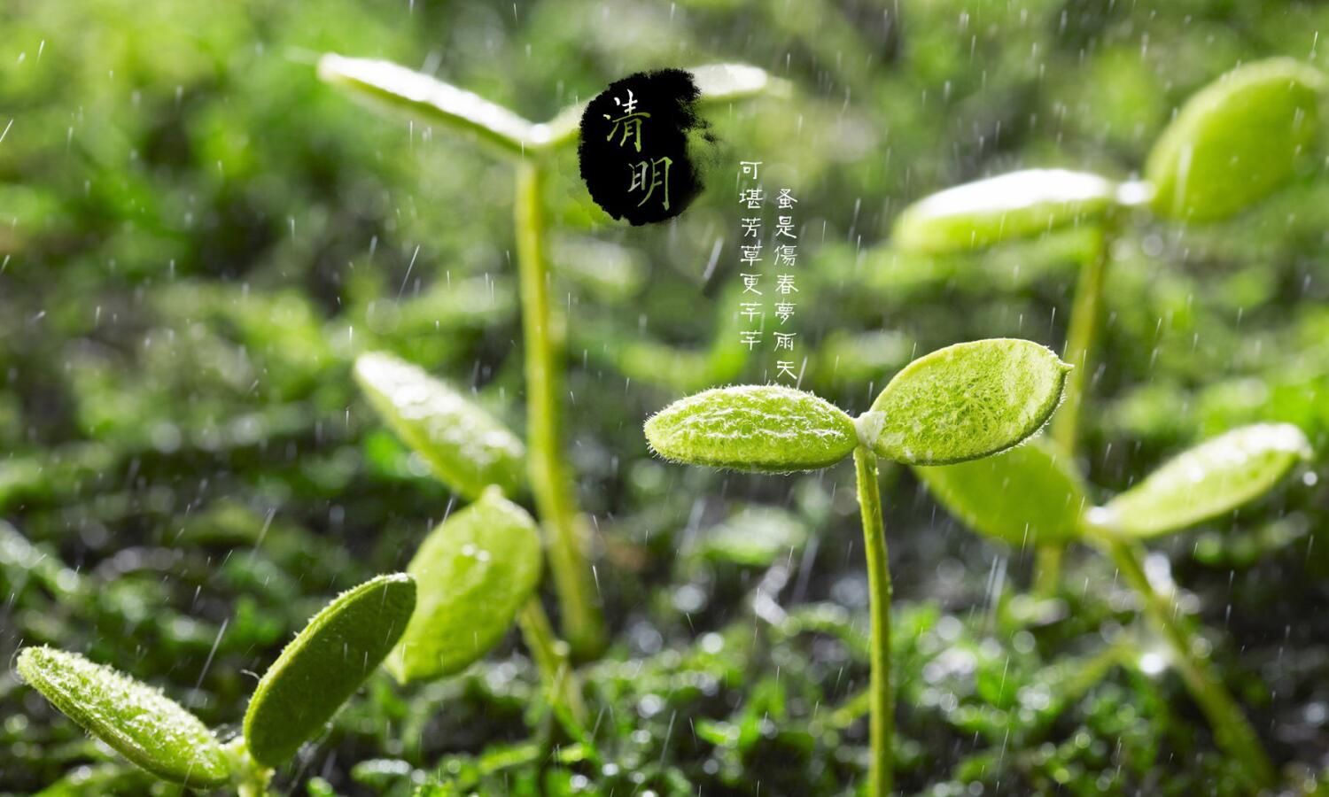 2021年清明节财神方位,各时辰财神在什么方位?