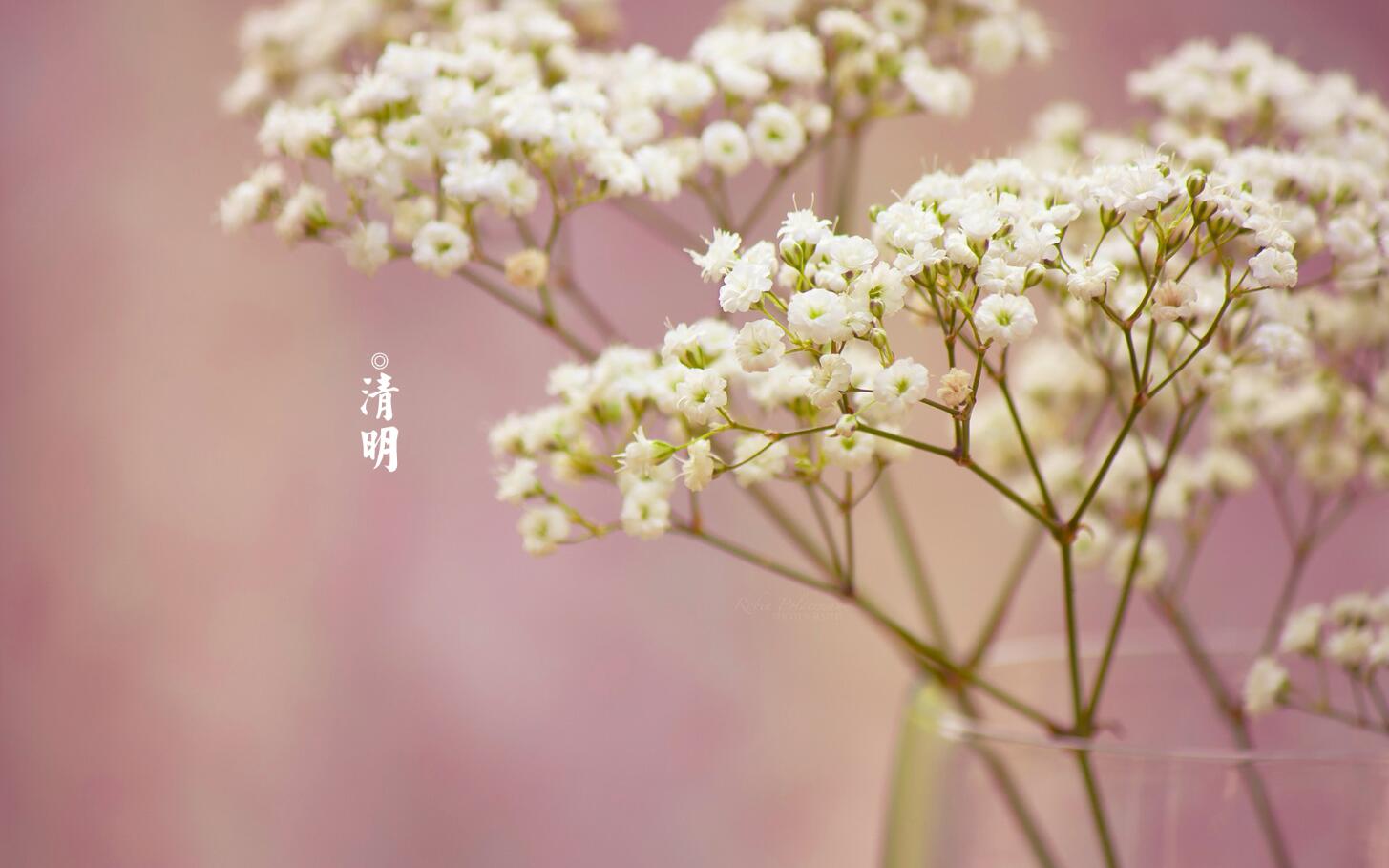 21年清明节不能做什么 清明节有什么禁忌 水墨先生