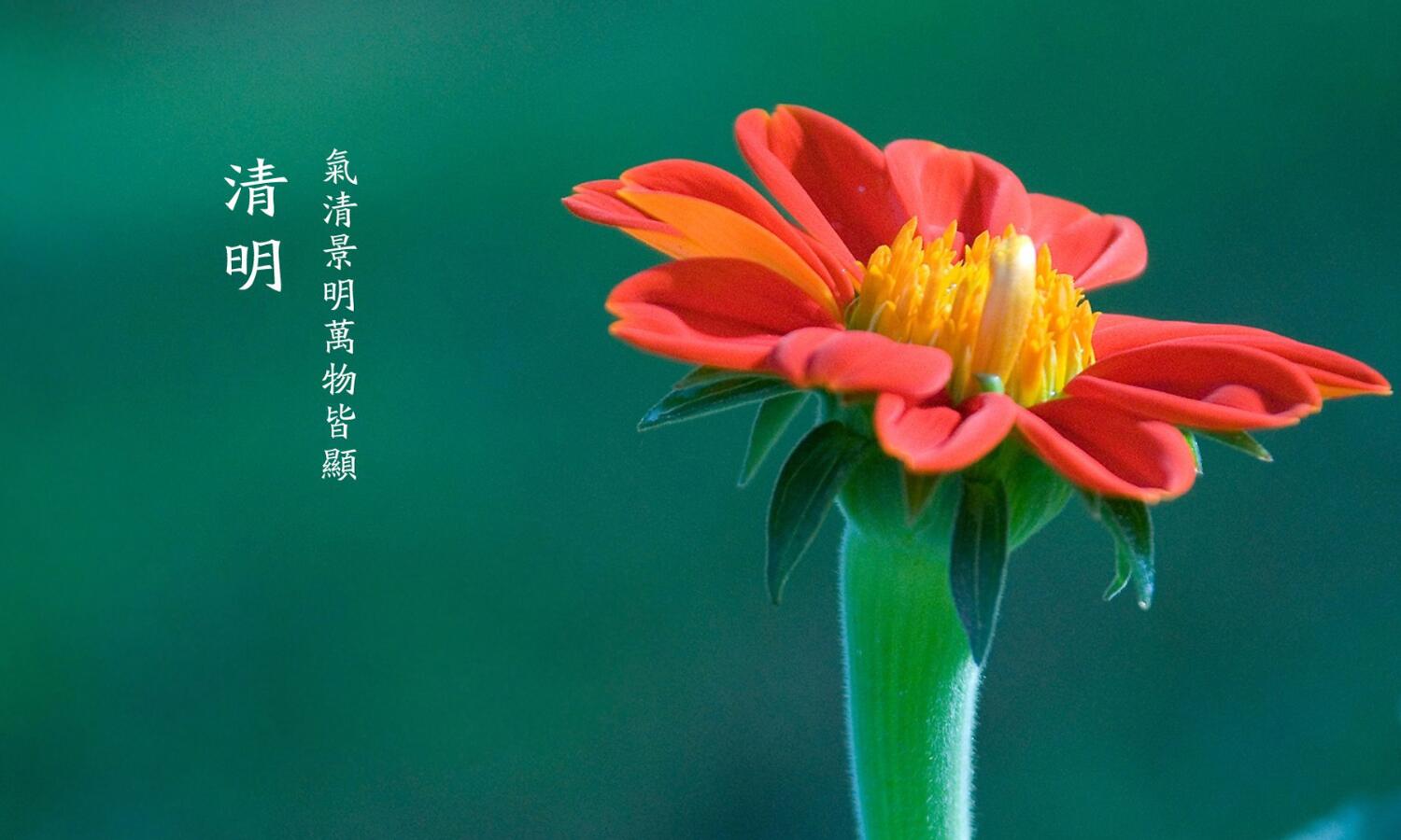 清明节可以祝快乐吗 清明节可以说什么祝福语 水墨先生