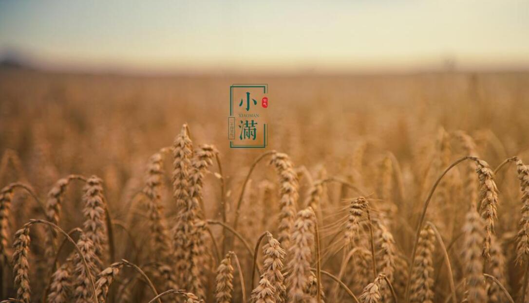 2021年小满这天财神在什么方位迎财神要如何选择财位