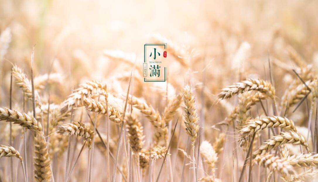 2021年小满节气出生宝宝小名怎么起,起什么乳名好?